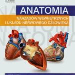 Anatomia człowieka, książka dostępna w księgarni pwn